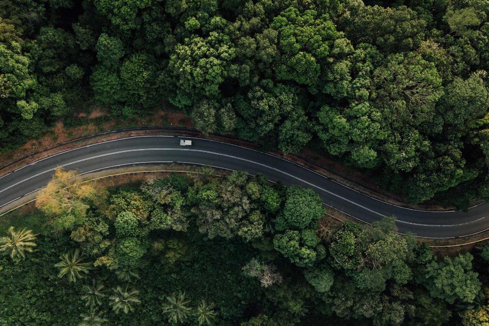 Ein Ford Elektrofahrzeug fährt auf einer kurvigen Straße im Wald, Ansicht von oben." draggable="false" title="Ein Ford Elektrofahrzeug fährt auf einer kurvigen Straße im Wald, Ansicht von oben.