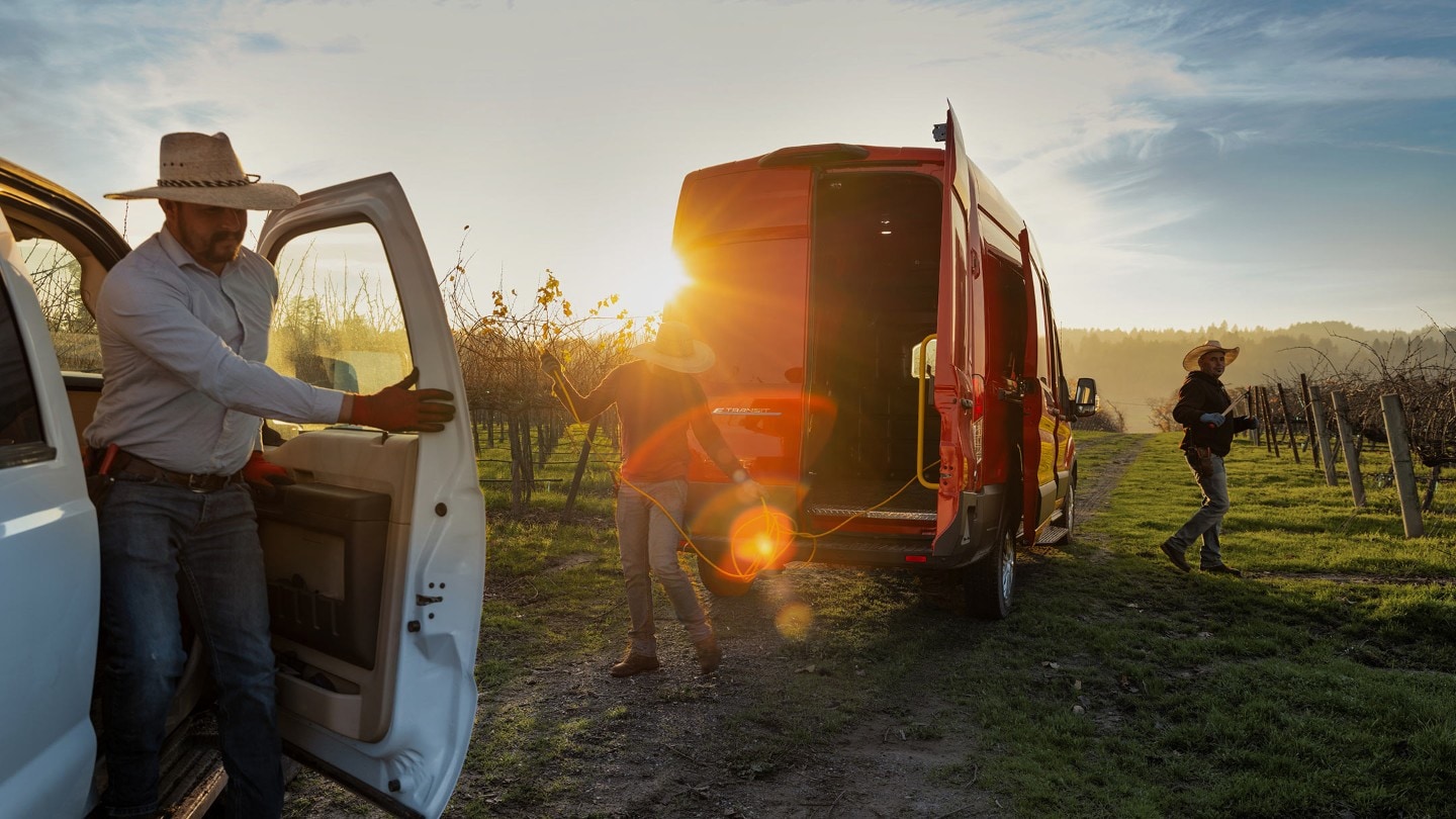 Ford Transit in Rot. Heckansicht, mit Arbeiter in einem Weinberg