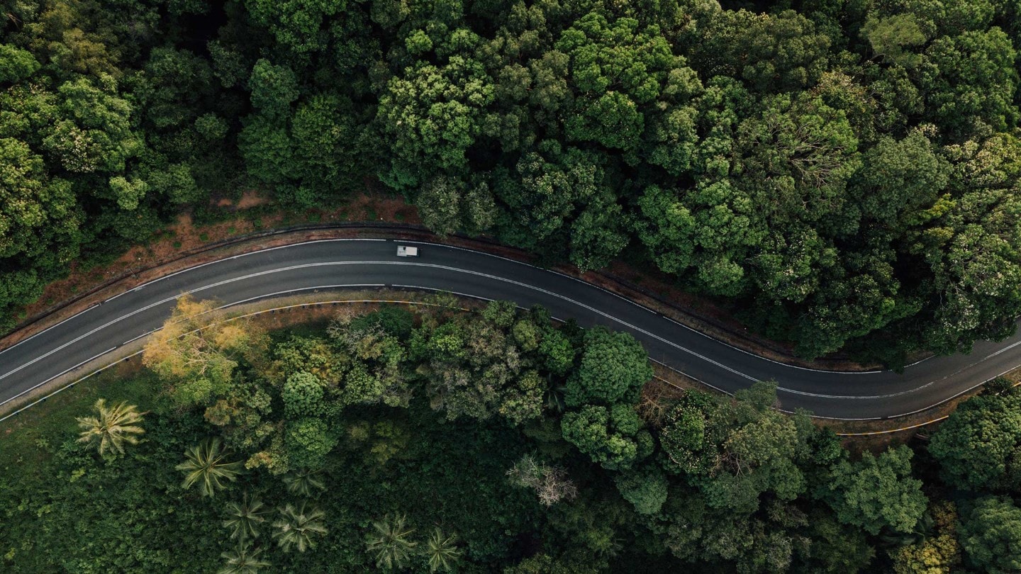 Straße im Wald Ansicht aus der Vogelperspektive