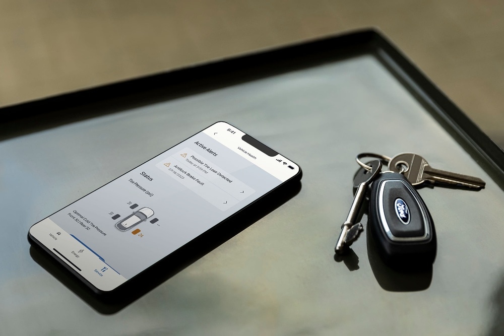 Mann überprüft Fahrzeugstatus auf seinem Smartphone