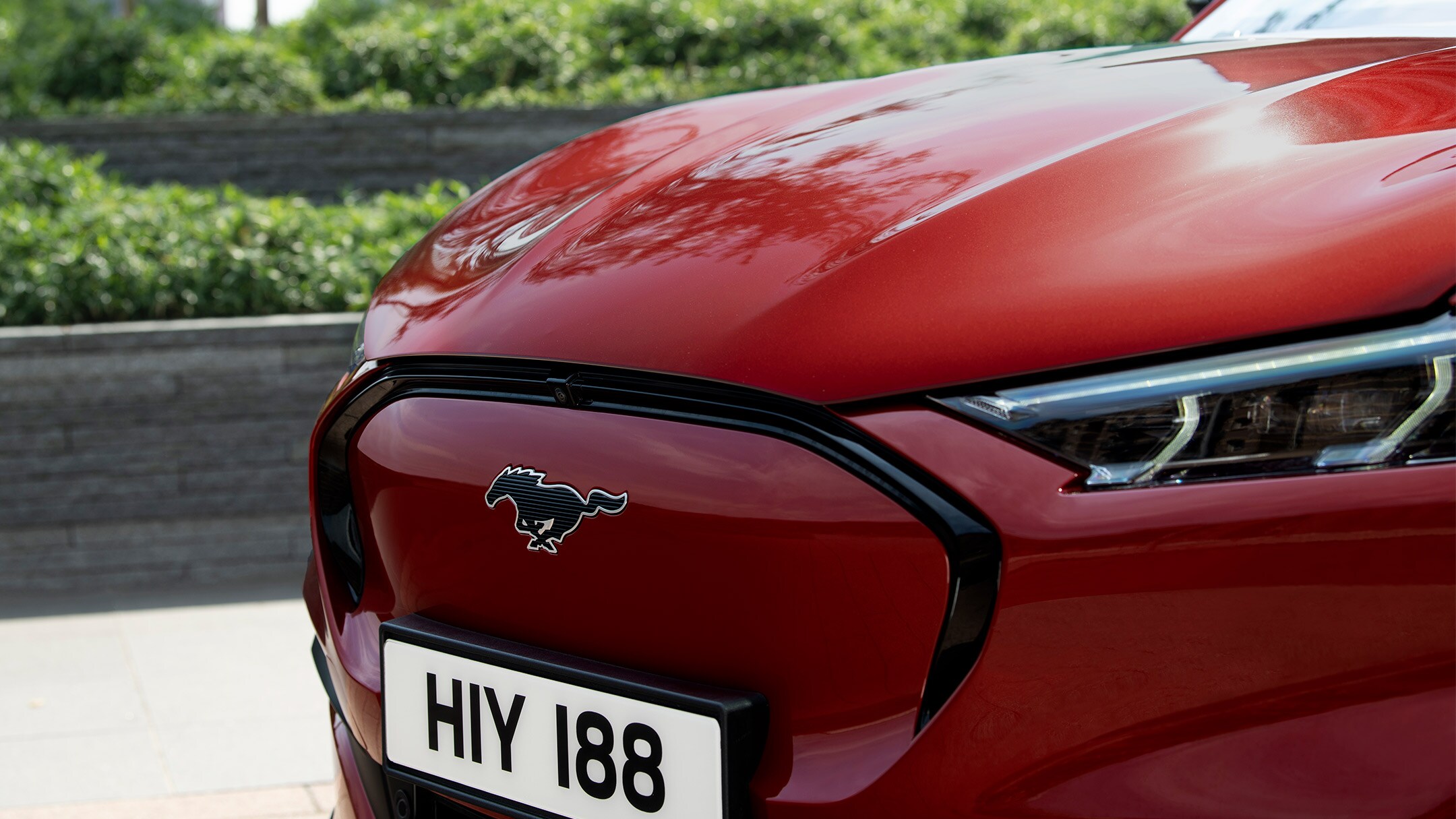 Ford Mustang Mach-E in Rot. Detailansicht Fahrzeugfront