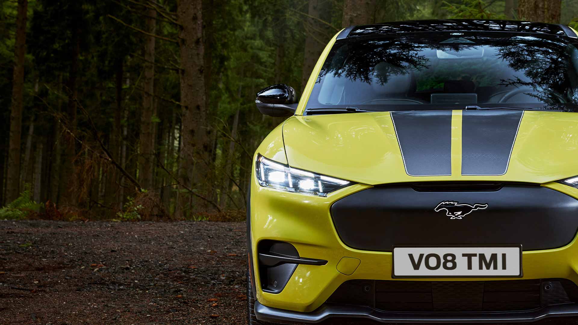 Ford Mustang Mach-E Rally in Gelb. Frontansicht, stehend in einem Wald mit eingeschalteten Scheinwerfern.