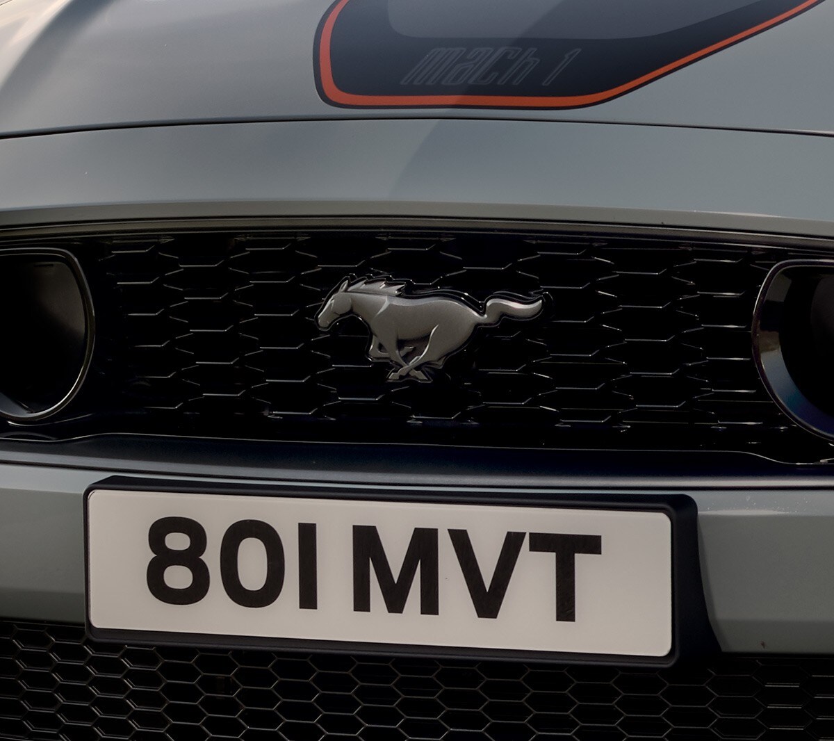 Ford Mustang Mach 1 in Weiß. Detailansicht Kühlergrill und Pony-Emblem