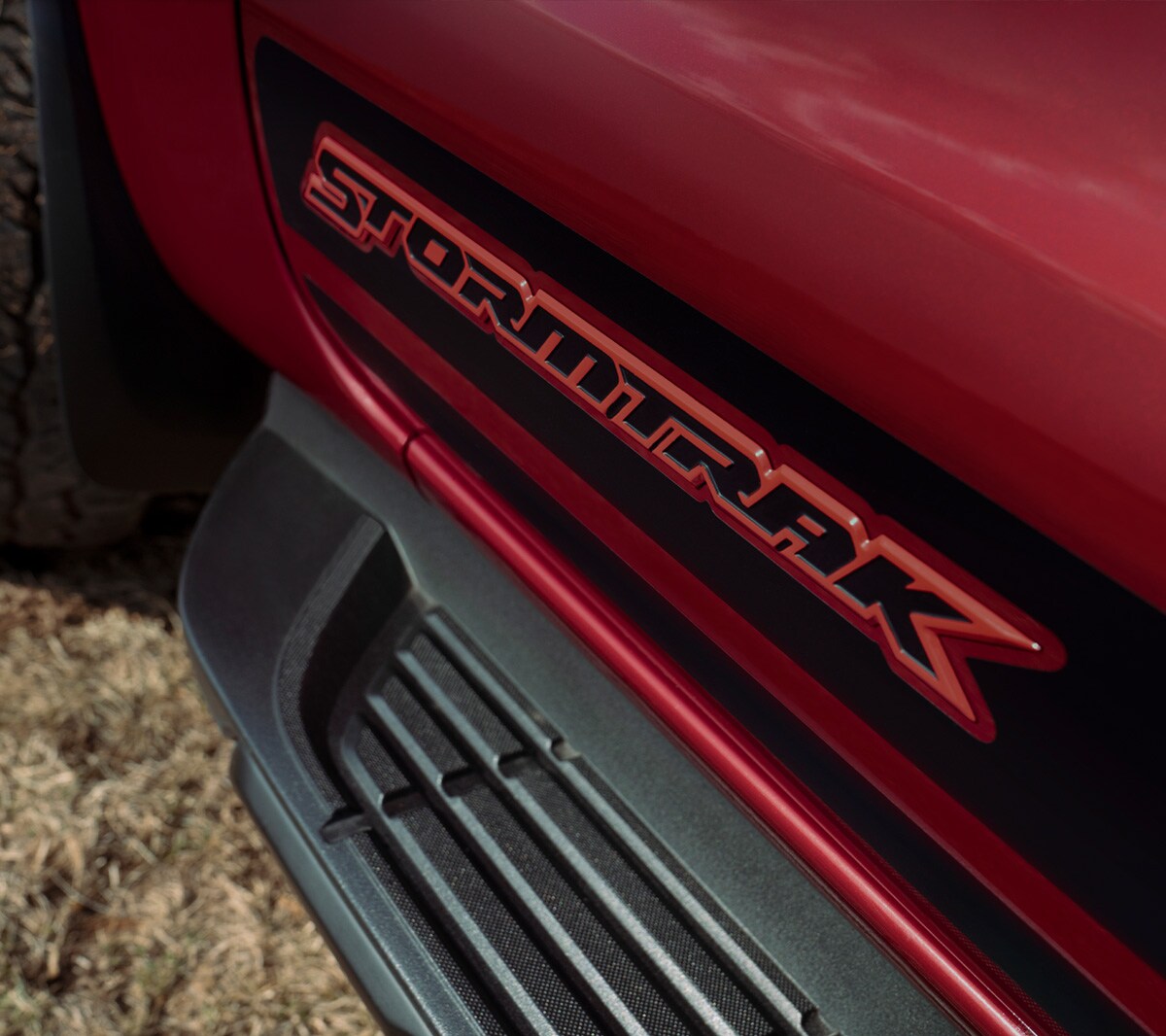 Ford Ranger Stormtrak. Detailansicht der seitlichen Trittstufe