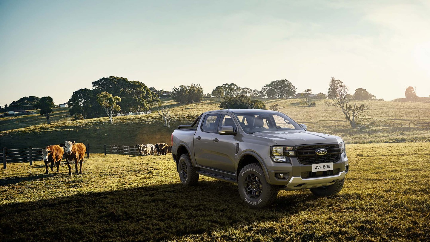 Ford Ranger Tremor in Grau. Dreiviertelansicht, stehend auf einem Feld.